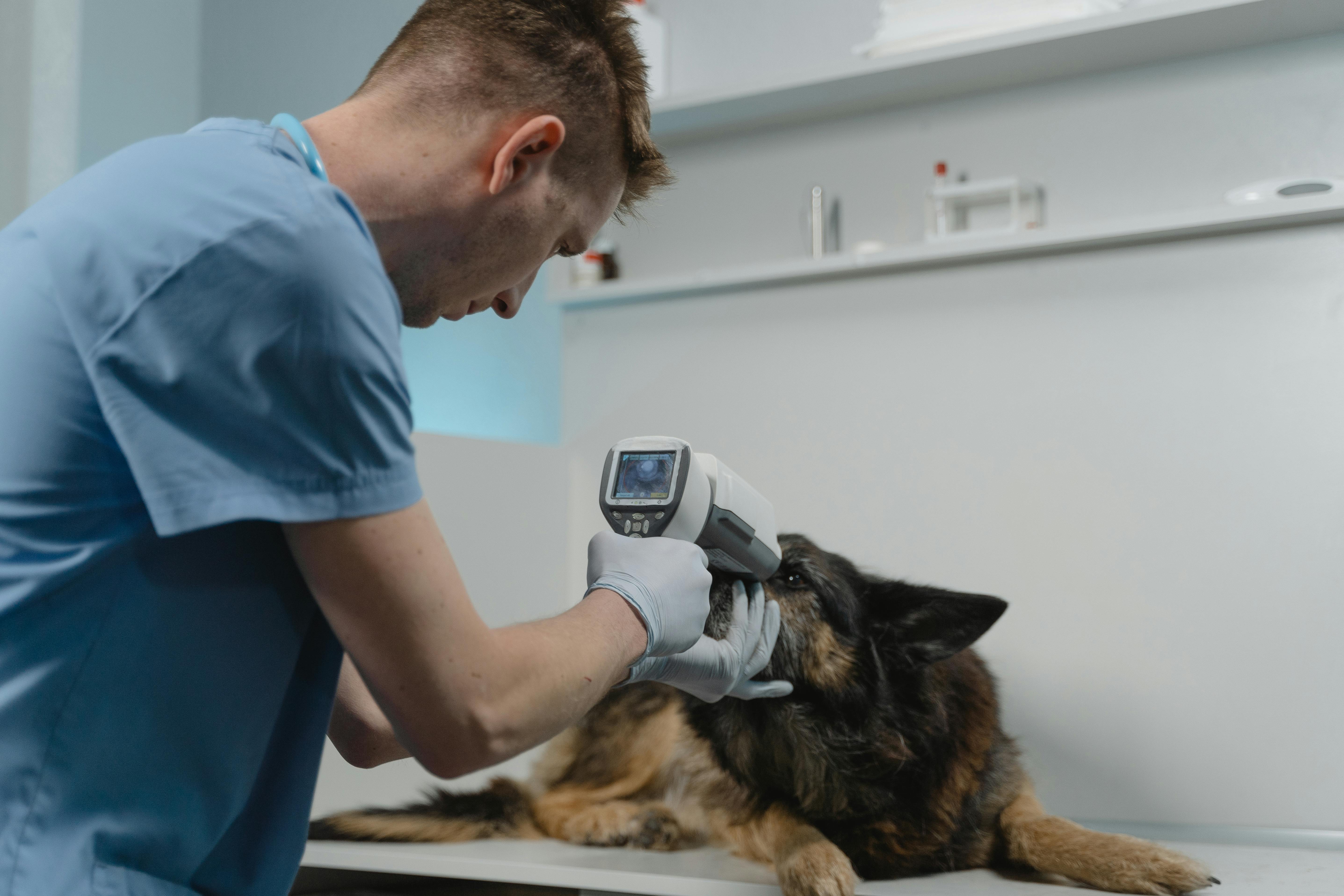 Galería Veterinaria Fernando Losada