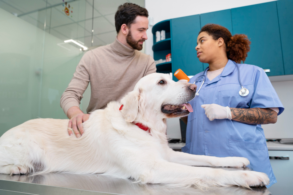 Servicios Veterinaria Fernando Losada